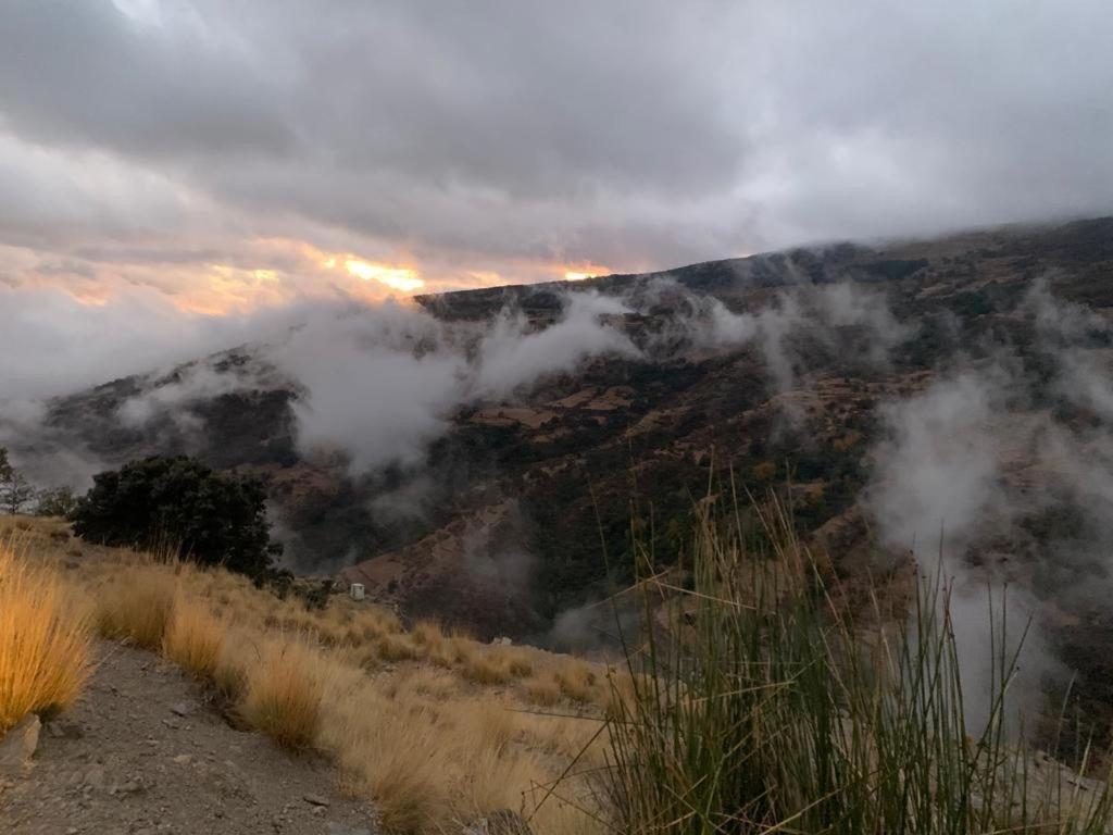 Cortijo Rural El Albercon - Capileira - Alpujarra Rural别墅 外观 照片