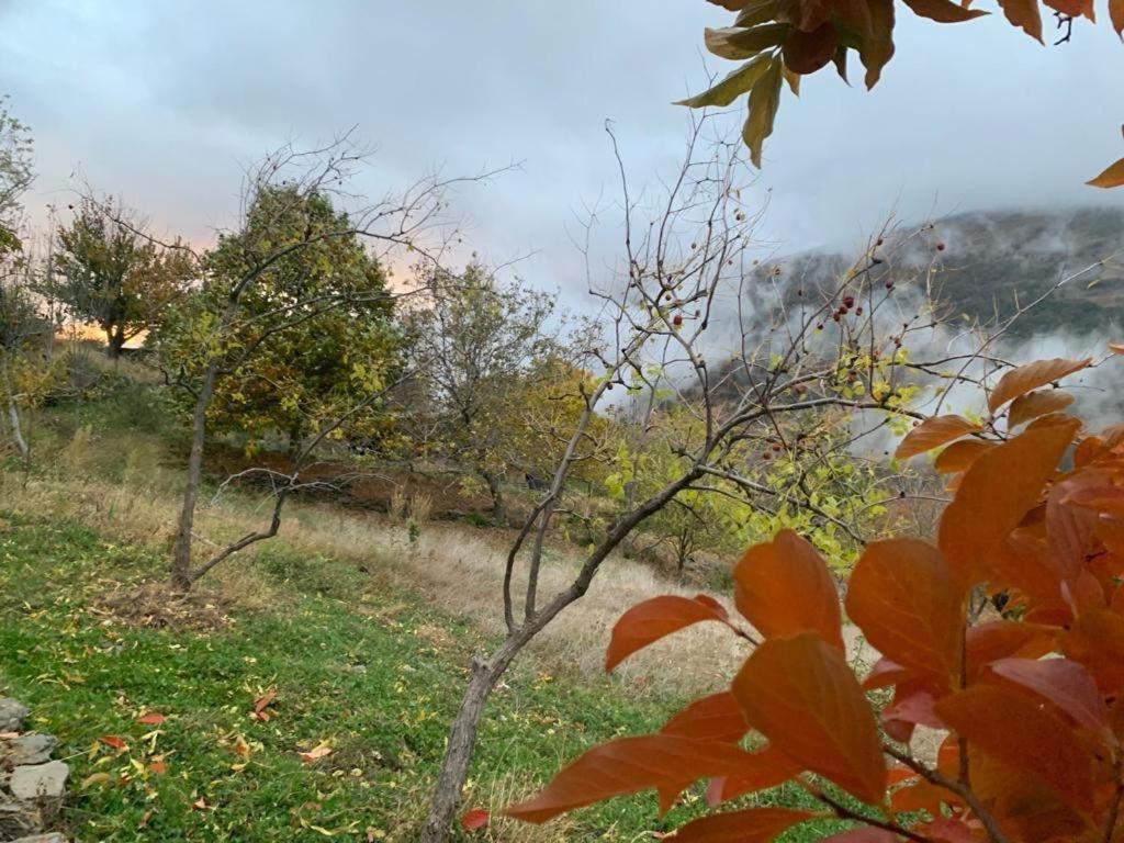 Cortijo Rural El Albercon - Capileira - Alpujarra Rural别墅 外观 照片