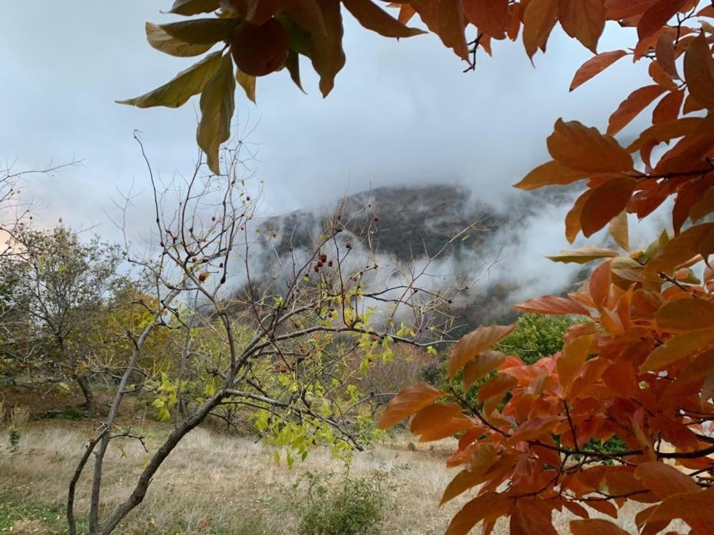 Cortijo Rural El Albercon - Capileira - Alpujarra Rural别墅 外观 照片