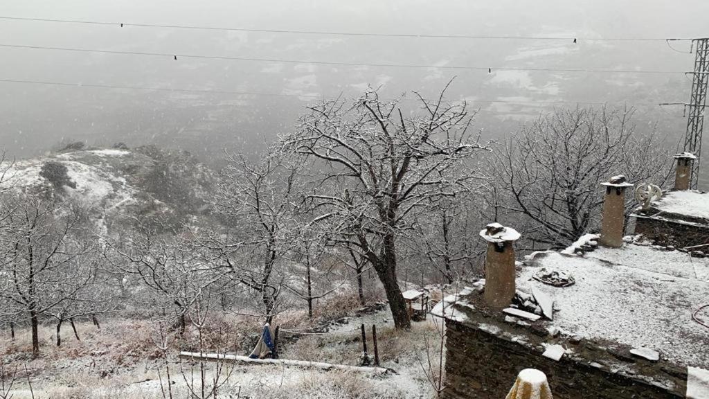 Cortijo Rural El Albercon - Capileira - Alpujarra Rural别墅 外观 照片