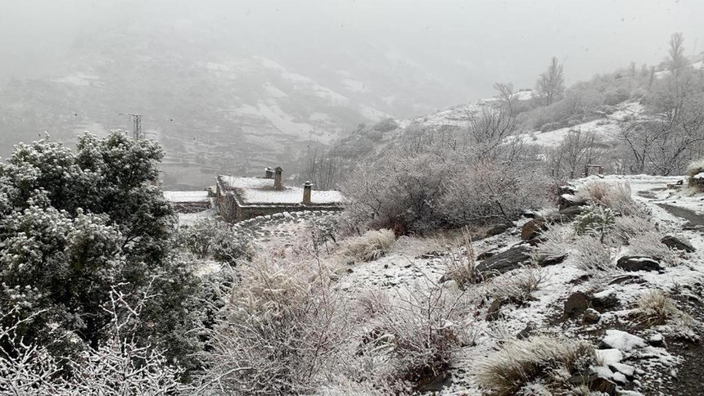 Cortijo Rural El Albercon - Capileira - Alpujarra Rural别墅 外观 照片