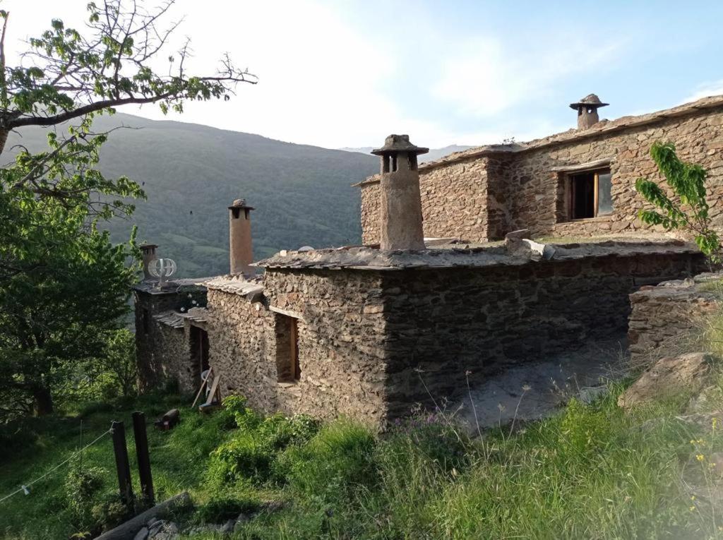 Cortijo Rural El Albercon - Capileira - Alpujarra Rural别墅 外观 照片